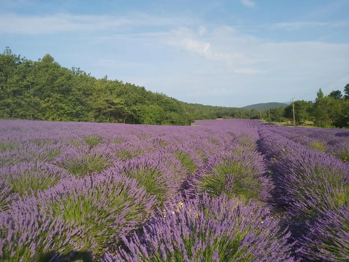 Vakantiehuis Les Theolats Villa Rochefort-en-Valdaine Frankrijk
